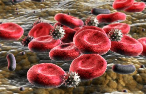 citrus hematology & oncology|Blood Disorder Services .